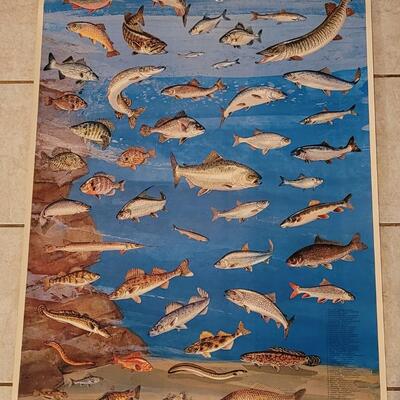 Lot 285: U.S. Department of Commerce - Fishes of the Great Lakes 48" Ã— 30"