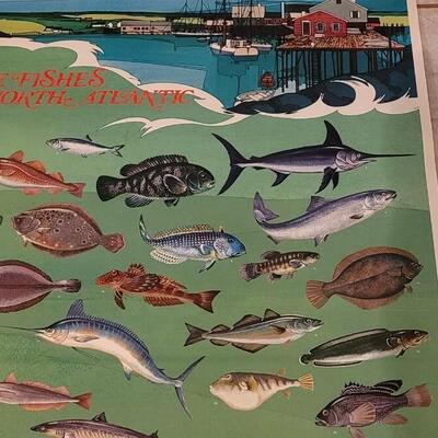 Lot 286: U.S. Department of Commerce- Marine Fishes of the North Atlantic 48" Ã— 30"