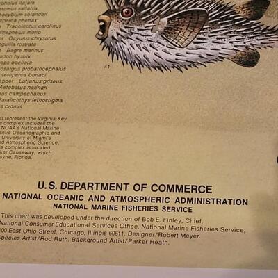 Lot 287: U.S. Department of Commerce - Marine Fishes of the Gulf and South Atlantic 48" Ã— 30"
