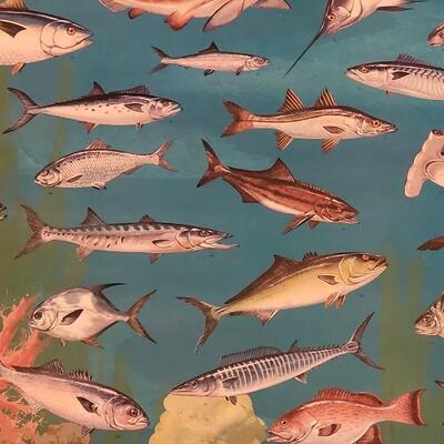 Lot 287: U.S. Department of Commerce - Marine Fishes of the Gulf and South Atlantic 48" Ã— 30"