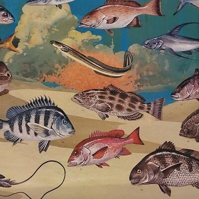 Lot 287: U.S. Department of Commerce - Marine Fishes of the Gulf and South Atlantic 48" Ã— 30"