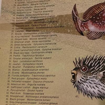 Lot 287: U.S. Department of Commerce - Marine Fishes of the Gulf and South Atlantic 48" Ã— 30"