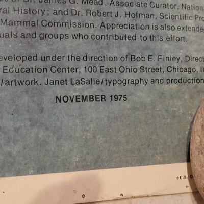 Lot 288: U.S. Department of Commerce - Marine Mammals of the Western Hemisphere November 197536" Ã— 53"