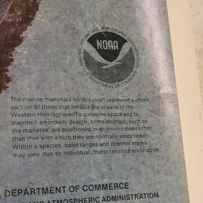 Lot 288: U.S. Department of Commerce - Marine Mammals of the Western Hemisphere November 197536" Ã— 53"