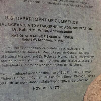 Lot 288: U.S. Department of Commerce - Marine Mammals of the Western Hemisphere November 197536" Ã— 53"