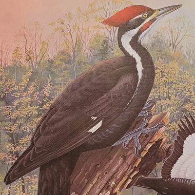 Lot 289: "Spring Morning in Tunica Hills, Pileated Woodpeckers and Magnolia" by MURRELL BUTLER Limited Edition Signed and...