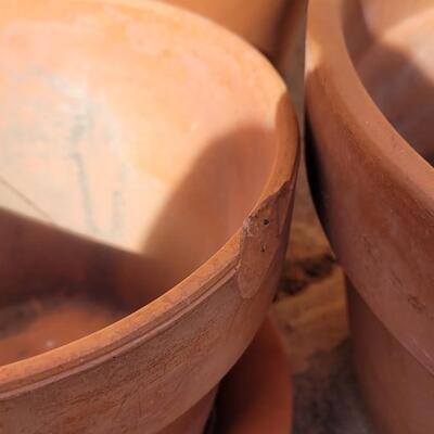 Lot 361: Group of Terracotta Pots