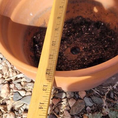 Lot 361: Group of Terracotta Pots