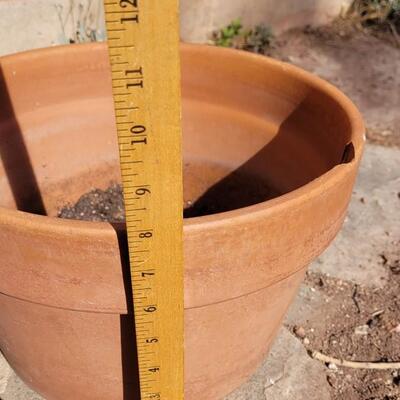 Lot 361: Group of Terracotta Pots