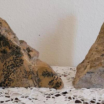 Lot 373: Fern Fossil Bookends