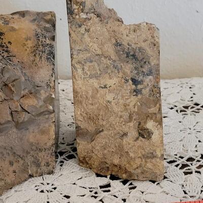 Lot 373: Fern Fossil Bookends