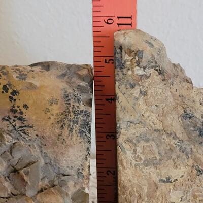 Lot 373: Fern Fossil Bookends