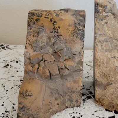 Lot 373: Fern Fossil Bookends