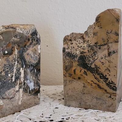 Lot 373: Fern Fossil Bookends
