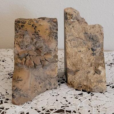 Lot 373: Fern Fossil Bookends