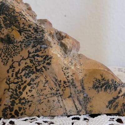 Lot 373: Fern Fossil Bookends