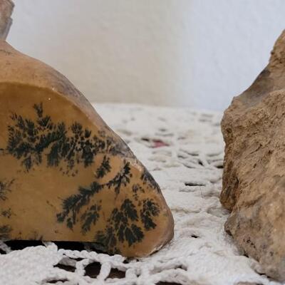 Lot 373: Fern Fossil Bookends