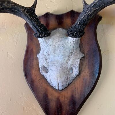 Wall antler plaque