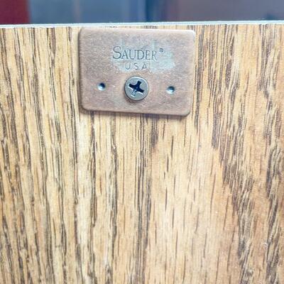 SAUDER LAMINATE LOCKING CABINET