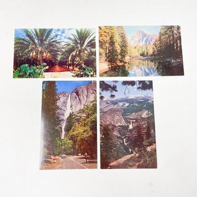VINTAGE CALIFORNIA/YOSEMITE POSTCARDS (4) - BLANK