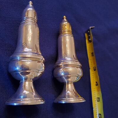 Watruss Sterling Weighted salt/pepper