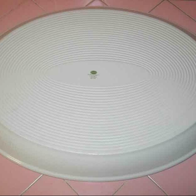 MS Holly and Ivy Portmeirion 20" Oval Turkey Platter Christmas