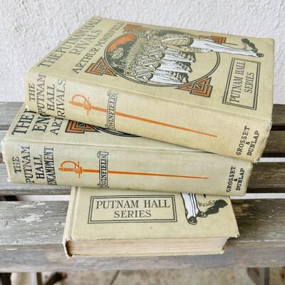 AA   GROUP OF BOYS ANTIQUE ADVENTURE SERIES BOOKS