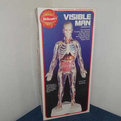 LOT 286. VINTAGE VISIBLE MAN MODEL