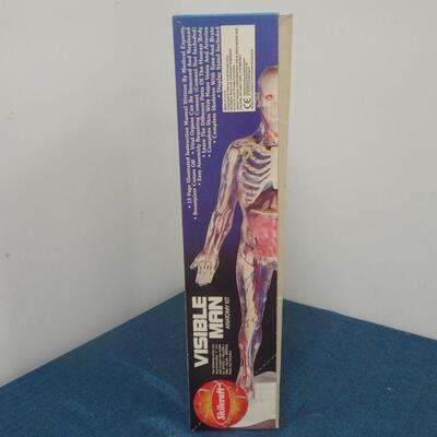 LOT 286. VINTAGE VISIBLE MAN MODEL
