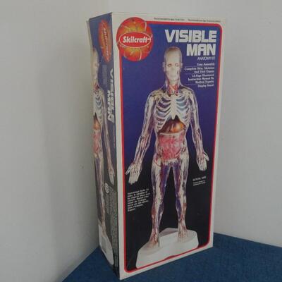 LOT 286. VINTAGE VISIBLE MAN MODEL