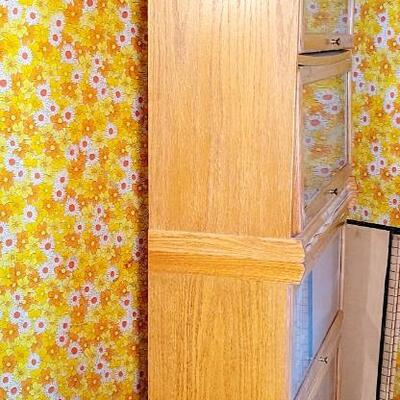 2 LAWYERS STYLE CABINETS