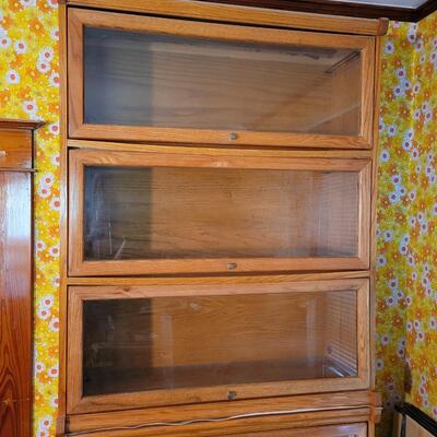 2 LAWYERS STYLE CABINETS