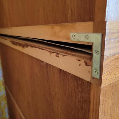 2 LAWYERS STYLE CABINETS