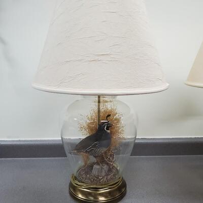 The Wildlife Collection - LIfesize Taxidermy Mount Quail - Lamps