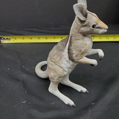 Lenox Bridled Nail-Tailed Wallaby
