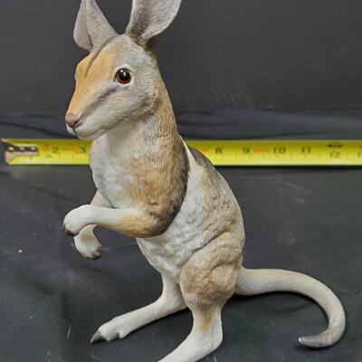Lenox Bridled Nail-Tailed Wallaby