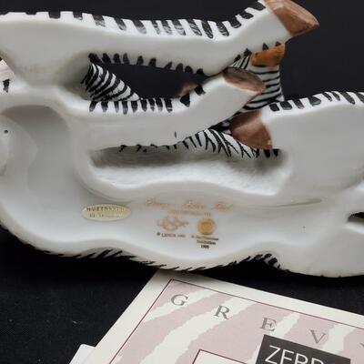 Lenox   Grevny's Zebra Foal