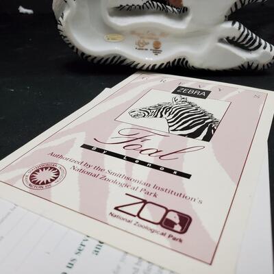 Lenox   Grevny's Zebra Foal