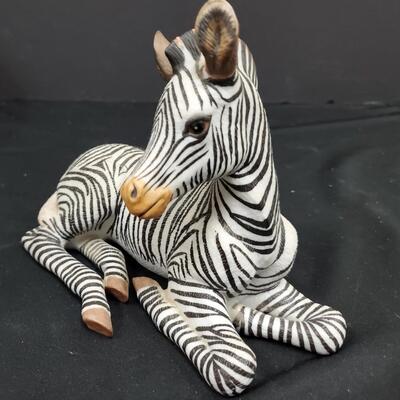 Lenox   Grevny's Zebra Foal
