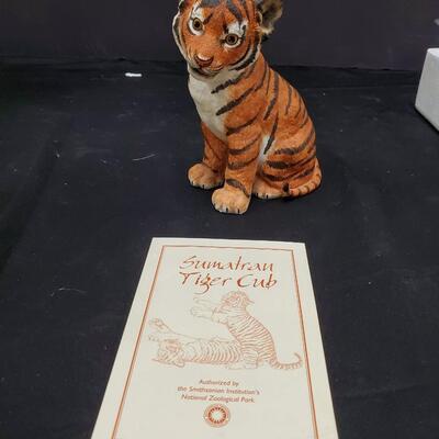 Sumatran Tiger Cub