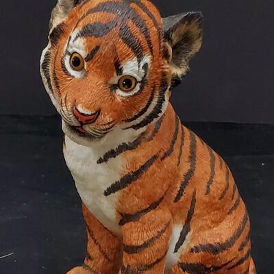 Sumatran Tiger Cub