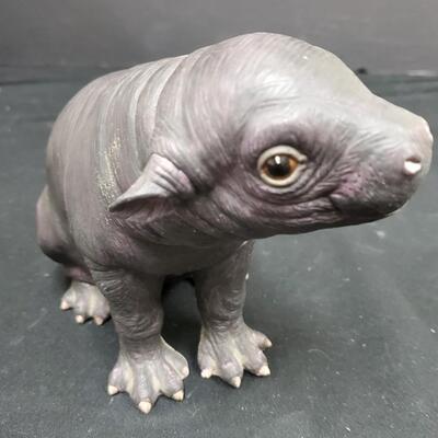 Lenox   Pygmy Hippo