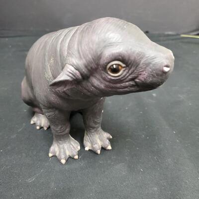 Lenox   Pygmy Hippo