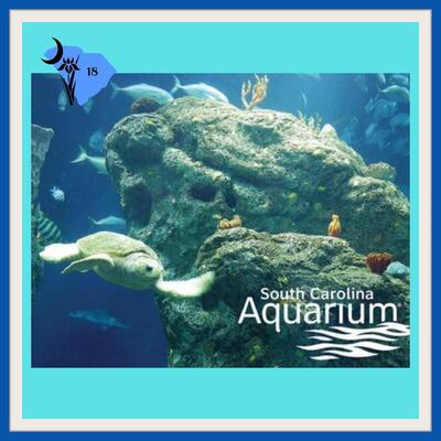 . South Carolina Aquarium Charleston