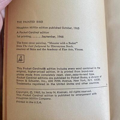 The Painted Bird by Jerzy Kosinski WWII Nazi Macabre Paperback Pocket Cardinal Edition 1966