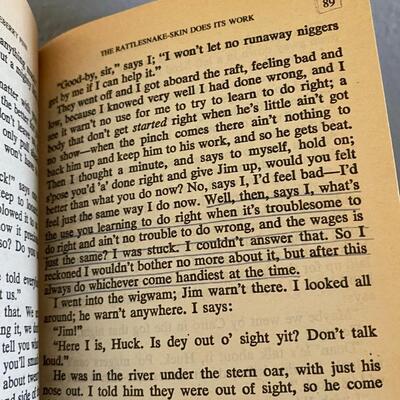 The Adventures of Huckleberry Finn Mark Twain Paperback Classic Novel
