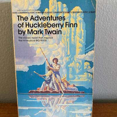 The Adventures of Huckleberry Finn Mark Twain Paperback Classic Novel
