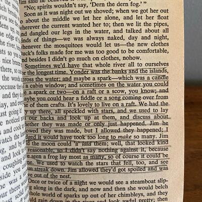 The Adventures of Huckleberry Finn Mark Twain Paperback Classic Novel