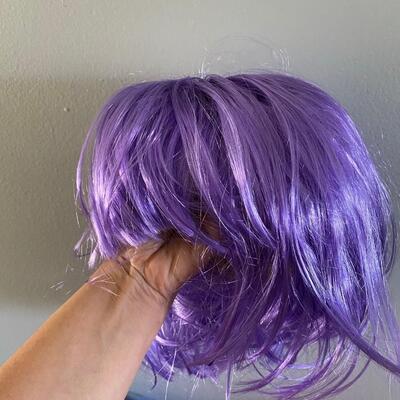 Set of 4 Halloween Dress Up Fashion Wigs