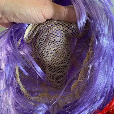 Set of 4 Halloween Dress Up Fashion Wigs